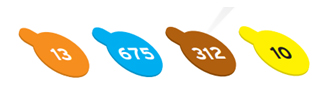 pil resim 6